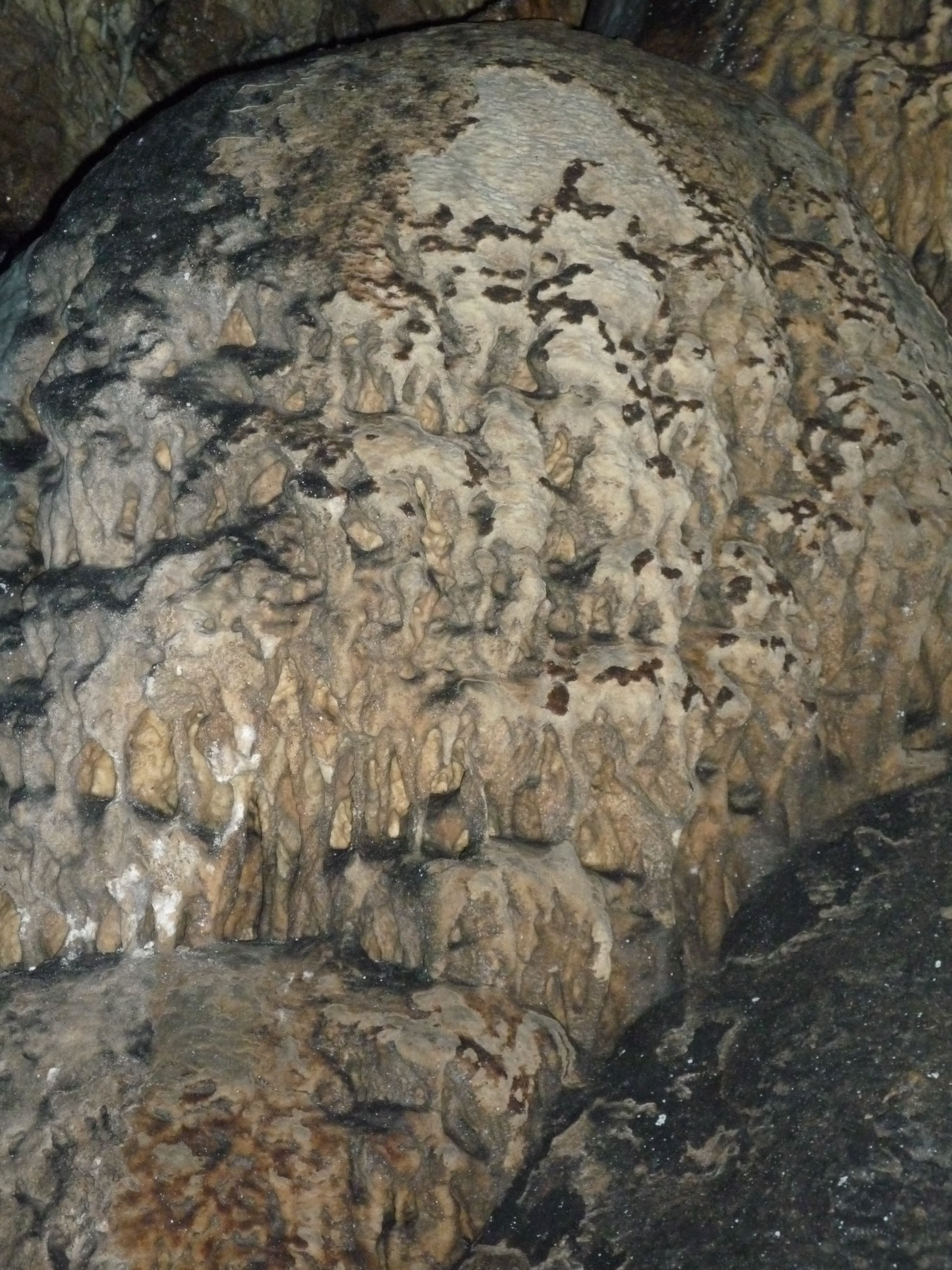 Belogradchik Rocks & Magura Cave Day Trip view 3