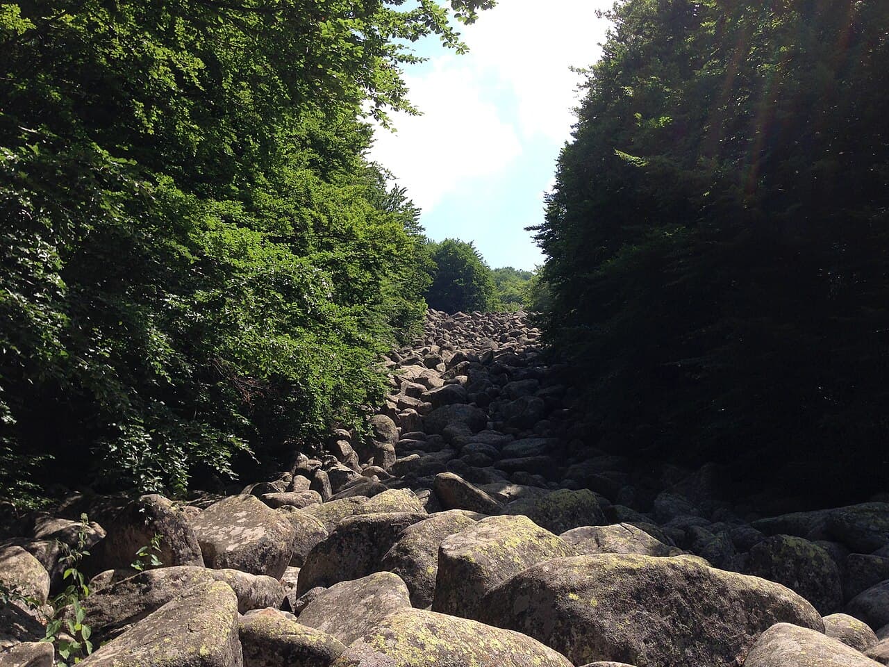Vitosha Mountain & Boyana Waterfall Half-Day Trip
